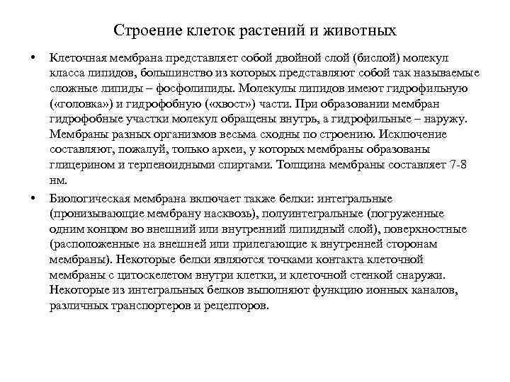 Строение клеток растений и животных • • Клеточная мембрана представляет собой двойной слой (бислой)