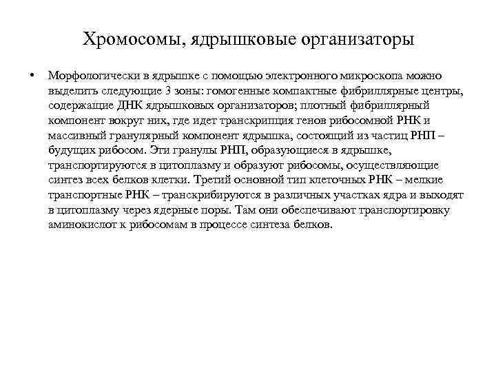 Хромосомы, ядрышковые организаторы • Морфологически в ядрышке с помощью электронного микроскопа можно выделить следующие