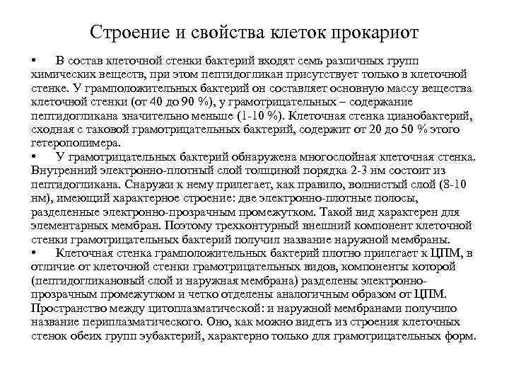 Строение и свойства клеток прокариот • В состав клеточной стенки бактерий входят семь различных