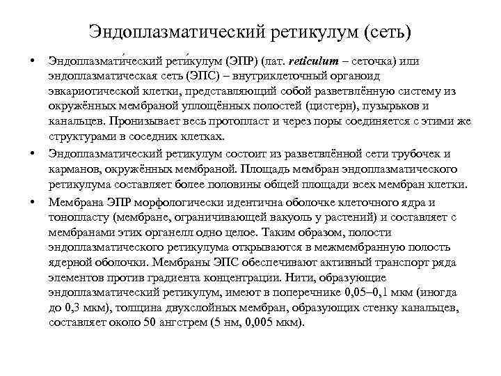 Эндоплазматический ретикулум (сеть) • • • Эндоплазмати ческий рети кулум (ЭПР) (лат. reticulum –
