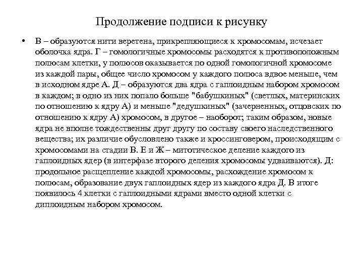 Продолжение подписи к рисунку • В – образуются нити веретена, прикрепляющиеся к хромосомам, исчезает