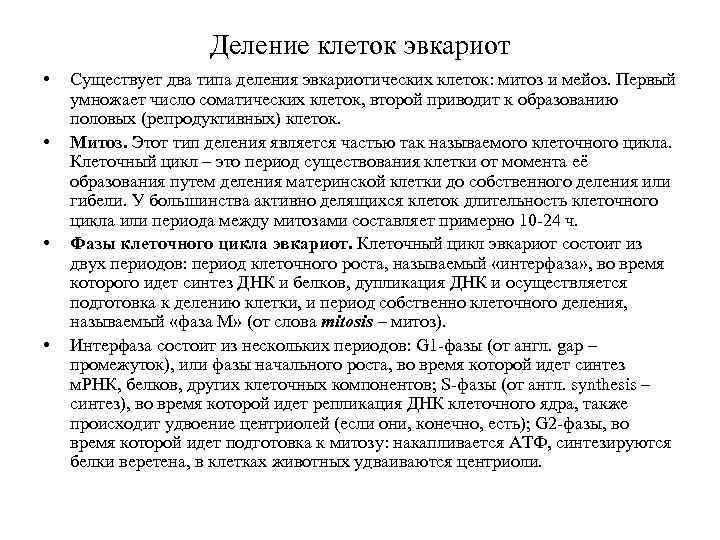 Деление клеток эвкариот • • Существует два типа деления эвкариотических клеток: митоз и мейоз.