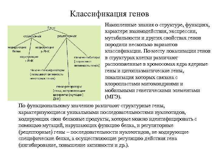 Классификация генов Накопленные знания о структуре, функциях, характере взаимодействия, экспрессии, мутабильности и других свойствах