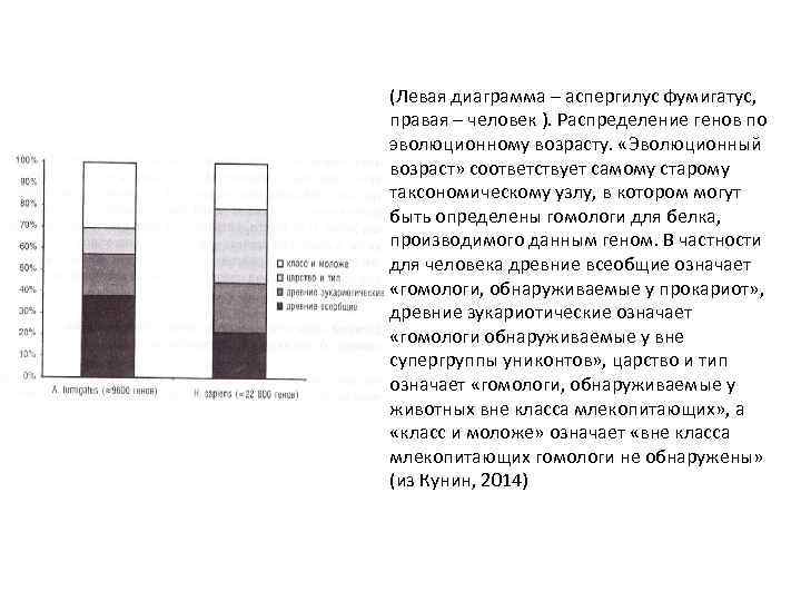 (Левая диаграмма – аспергилус фумигатус, правая – человек ). Распределение генов по эволюционному возрасту.