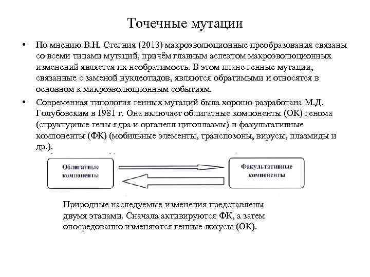 Точечные мутации • • По мнению В. Н. Стегния (2013) макроэволюционные преобразования связаны со