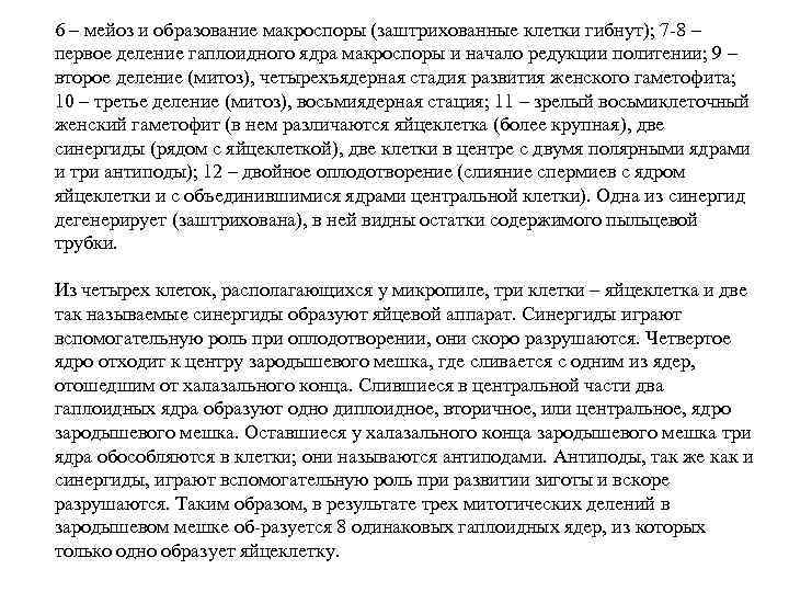 6 – мейоз и образование макроспоры (заштрихованные клетки гибнут); 7 -8 – первое деление