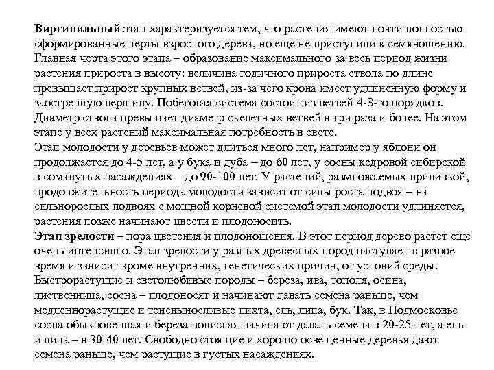 Виргинильный этап характеризуется тем, что растения имеют почти полностью сформированные черты взрослого дерева, но