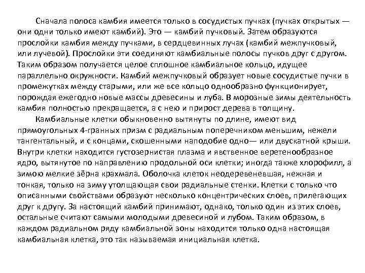 Сначала полоса камбия имеется только в сосудистых пучках (пучках открытых — они одни только
