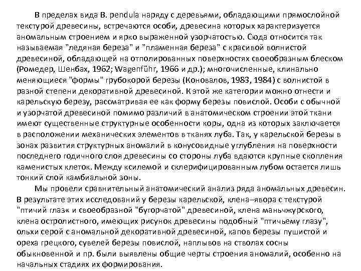 В пределах вида B. pendula наряду с деревьями, обладающими прямослойной текстурой древесины, встречаются особи,