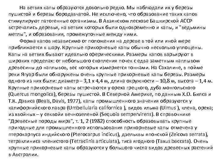 На ветвях капы образуются довольно редко. Мы наблюдали их у березы пушистой и березы