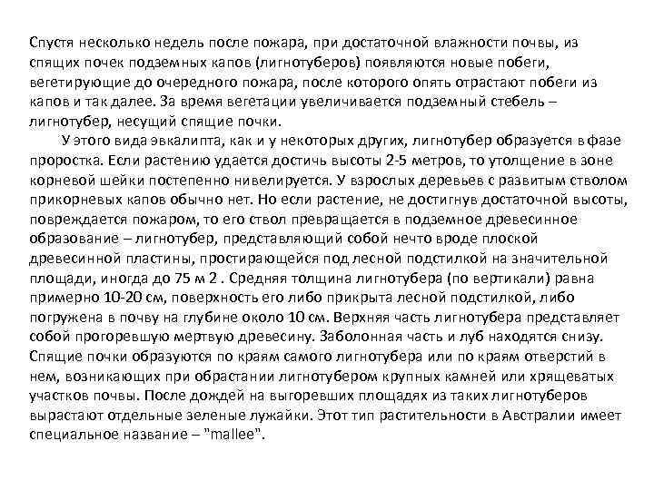 Спустя несколько недель после пожара, при достаточной влажности почвы, из спящих почек подземных капов