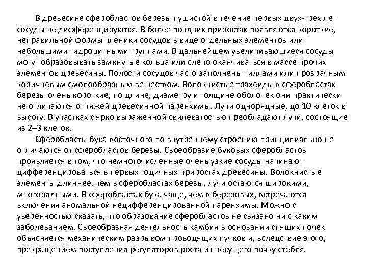 В древесине сферобластов березы пушистой в течение первых двух-трех лет сосуды не дифференцируются. В