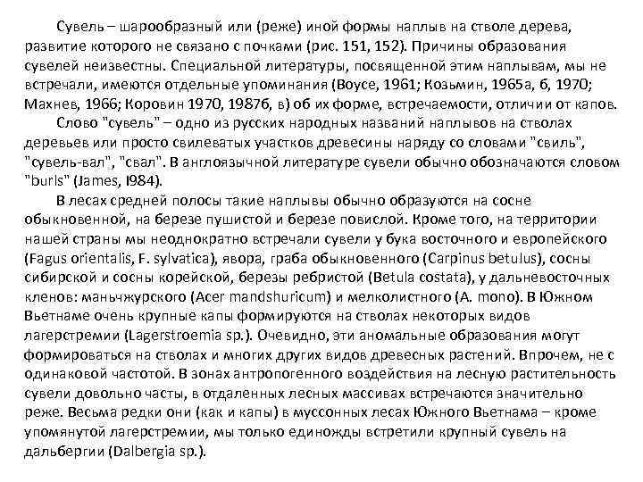 Сувель – шарообразный или (реже) иной формы наплыв на стволе дерева, развитие которого не