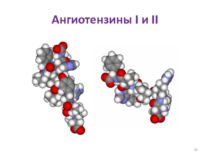 Ангиотензины I и II 19 