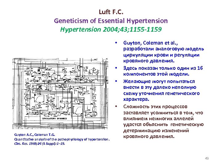 Luft F. C. Geneticism of Essential Hypertension 2004; 43; 1155 -1159 • • Guyton