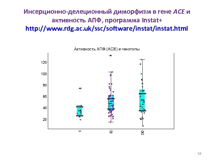 Инсерционно-делеционный диморфизм в гене ACE и активность АПФ, программа Instat+ http: //www. rdg. ac.