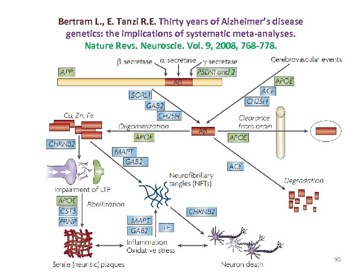 Bertram L. , E. Tanzi R. E. Thirty years of Alzheimer’s disease genetics: the