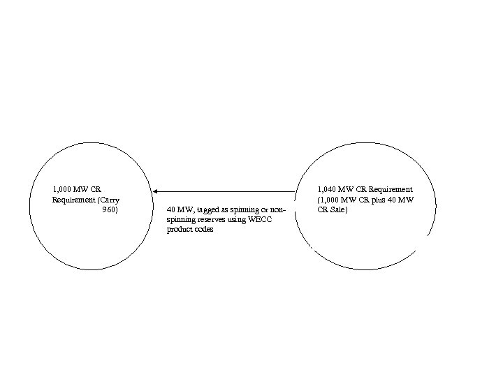 1, 000 MW CR Requirement (Carry 960) 40 MW, tagged as spinning or nonspinning