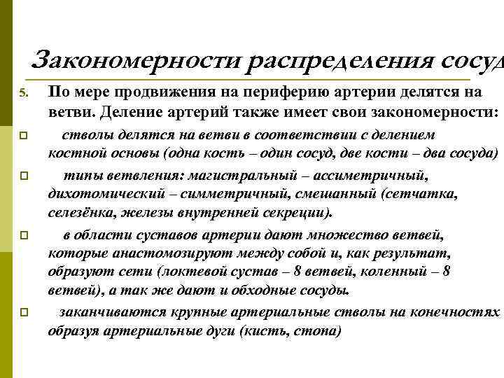 Закономерности распределения сосуд 5. По мере продвижения на периферию артерии делятся на ветви. Деление