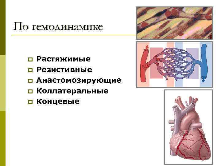 По гемодинамике p p p Растяжимые Резистивные Анастомозирующие Коллатеральные Концевые 