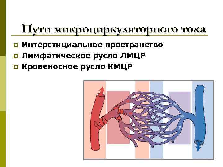 Пути микроциркуляторного тока p p p Интерстициальное пространство Лимфатическое русло ЛМЦР Кровеносное русло КМЦР