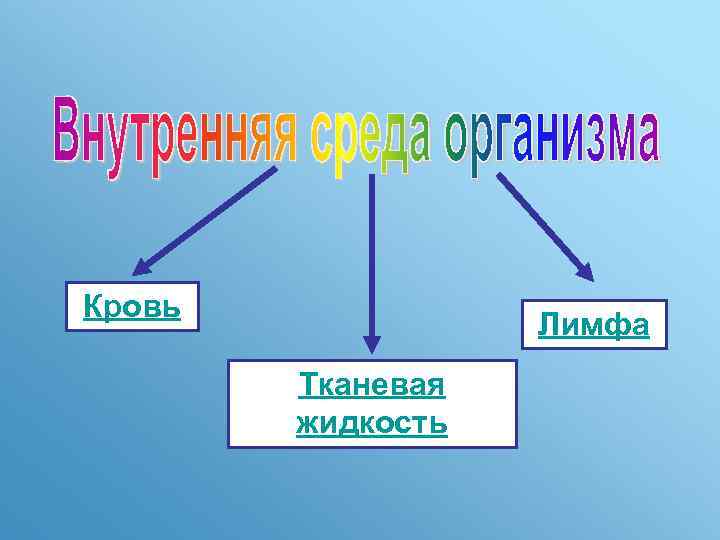 Кровь Лимфа Тканевая жидкость 