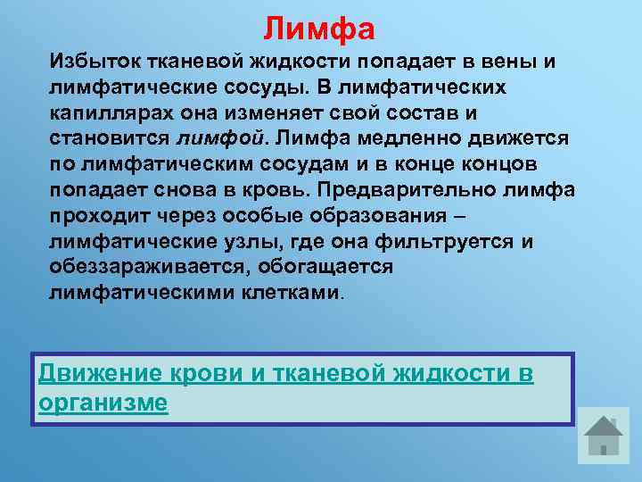 Лимфа Избыток тканевой жидкости попадает в вены и лимфатические сосуды. В лимфатических капиллярах она