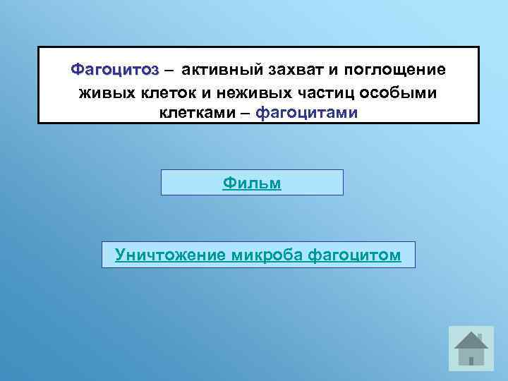  Фагоцитоз – активный захват и поглощение Фагоцитоз живых клеток и неживых частиц особыми