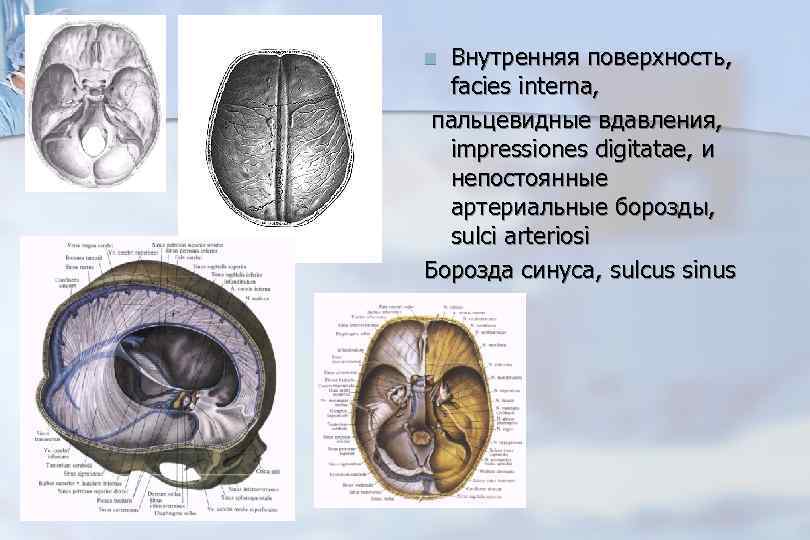 Рисунок пальцевых вдавлений и сосудистых борозд усилен