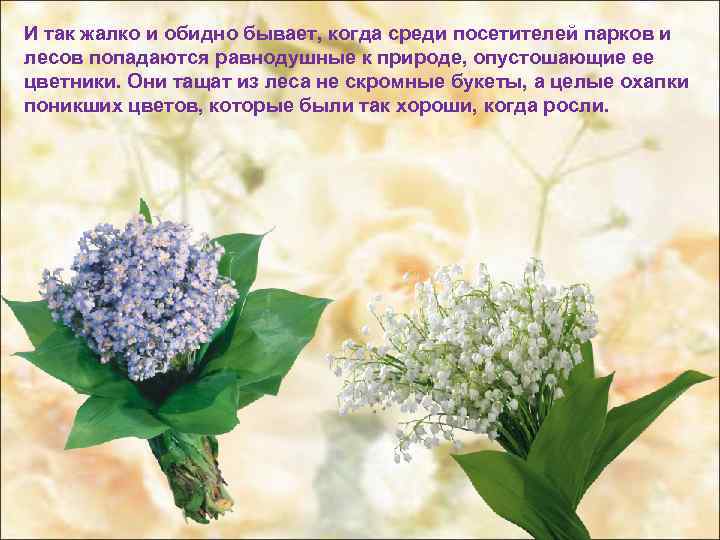 И так жалко и обидно бывает, когда среди посетителей парков и лесов попадаются равнодушные