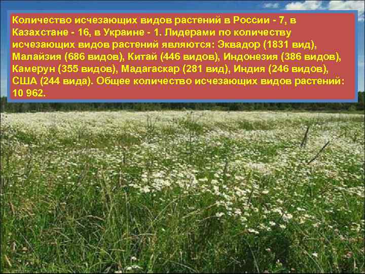 Количество исчезающих видов растений в России - 7, в Казахстане - 16, в Украине