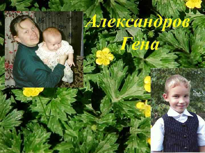 Александров Гена 