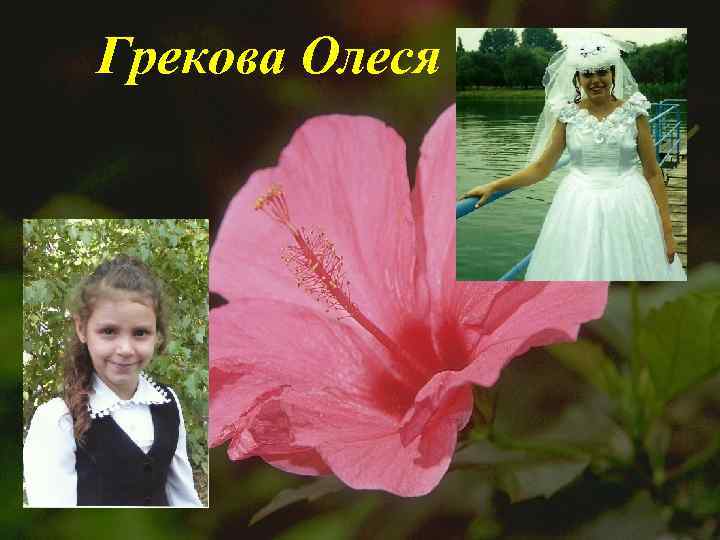 Грекова Олеся 