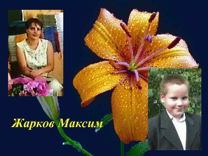 Жарков Максим 