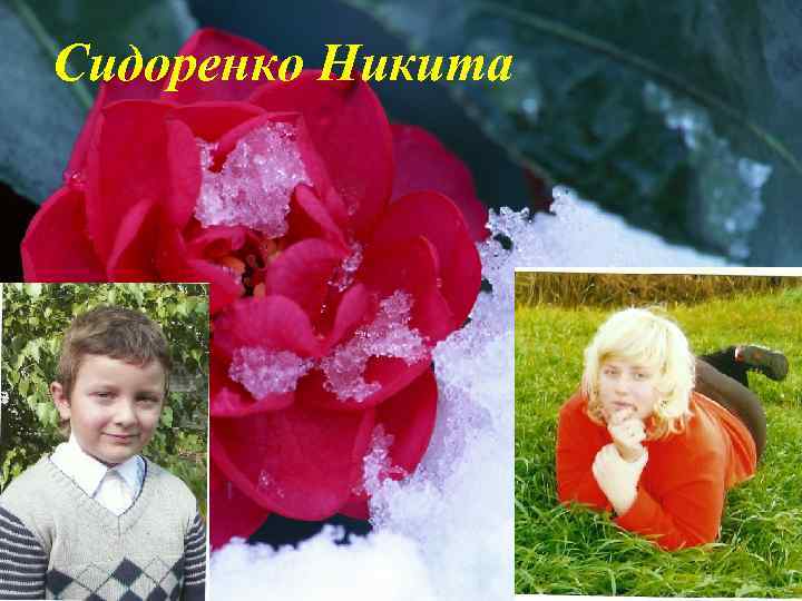 Сидоренко Никита 