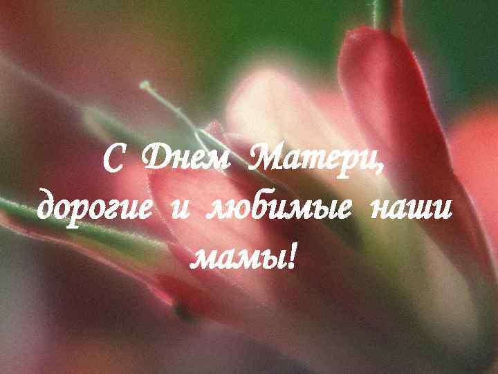 С Днем Матери, дорогие и любимые наши мамы! 