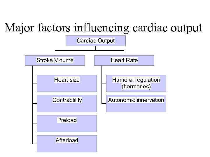 Major factors influencing cardiac output 