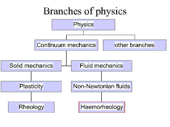 Branches of physics 