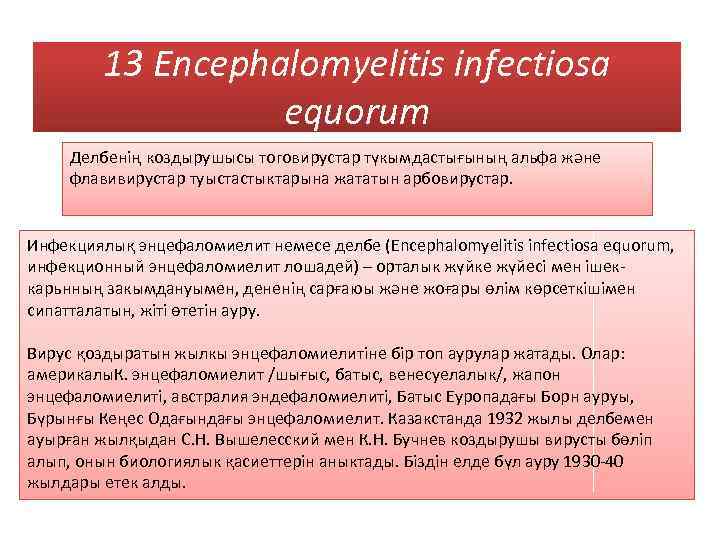 13 Encephalomyelitis infectiosa equorum Делбенің коздырушысы тоговирустар түкымдастығының альфа және флавивирустар туыстастыктарына жататын арбовирустар.