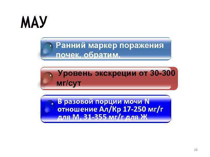 Ранний маркер поражения почек, обратим. Click to add title in here Уровень экскреции от