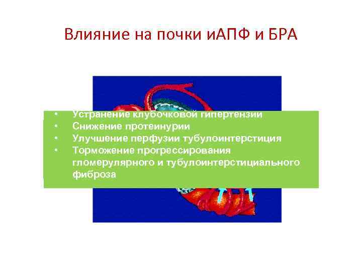 Влияние на почки и. АПФ и БРА • • Устранение клубочковой гипертензии Снижение протеинурии