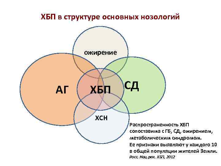 Структура нозологии. Структура нозологий в ХБП.