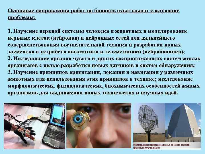 Основные направления работ по бионике охватывают следующие проблемы: 1. Изучение нервной системы человека и