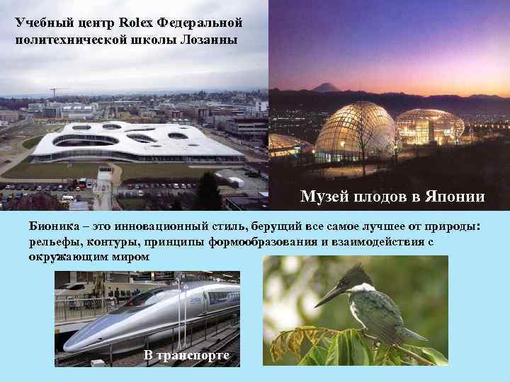 Учебный центр Rolex Федеральной политехнической школы Лозанны Музей плодов в Японии Бионика – это