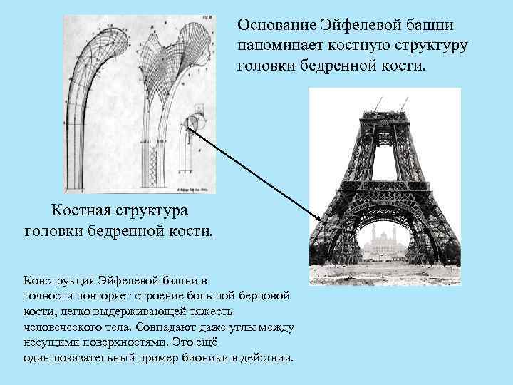 Основание Эйфелевой башни напоминает костную структуру головки бедренной кости. Костная структура головки бедренной кости.