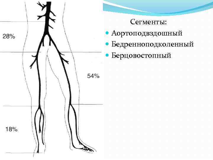 Сегменты: Аортоподвздошный Бедренноподколенный Берцовостопный 