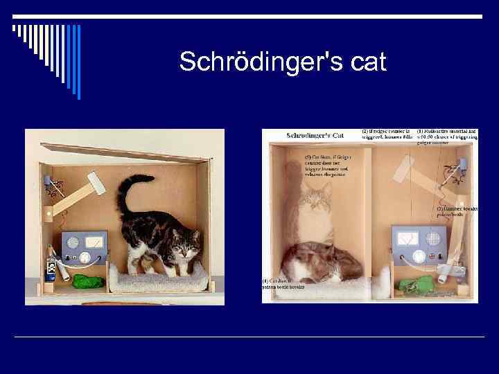 Schrödinger's cat 