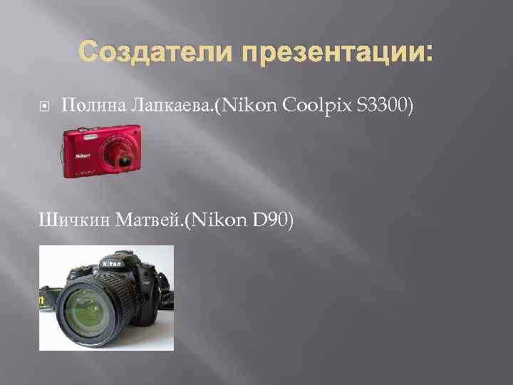 Создатели презентации: Полина Лапкаева. (Nikon Coolpix S 3300) Шичкин Матвей. (Nikon D 90) 