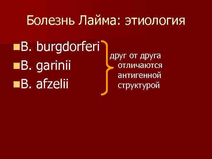 Болезнь Лайма: этиология n. B. burgdorferi n. B. garinii n. B. afzelii друг от