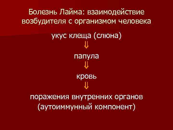 Болезнь Лайма: взаимодействие возбудителя с организмом человека укус клеща (слюна) папула кровь поражения внутренних